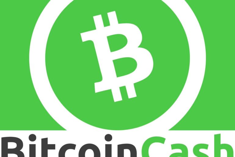 Bitcoin Cash Nedir? BCH Coin Geleceği Ve Yorumları